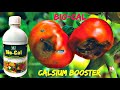 Bio-Cal Agriya Agro Tech | Micronol | Calsium Booster | Bio-Stimulent &amp; Promoter | Uses | Dose