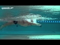 Butterfly Swimming Technique | Stroke