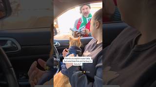 The Pup Cup Made Up For It