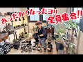 【植欲マシマシ】invisible ink.で仕立てる夏