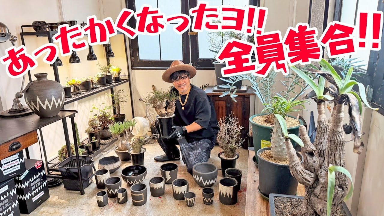 【植欲マシマシ】invisible ink.で仕立てる夏
