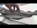 Passionate About Fish - How to Fillet Pollack