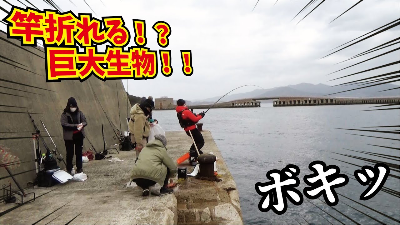 シマノ最安の磯竿ってガチの磯釣りに使えるの 的youtube視頻效果分析報告 Noxinfluencer