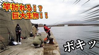 竿ボキッ！堤防から釣れるロッド限界の怪物がやってきた！！！