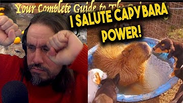 *I Salute Capybara POWER!* The Science Behind the Unproblematic Nature of the Capybara