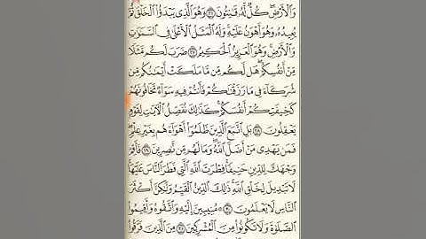 سورة الروم من آية ٣٠ حتى سورة لقمان آية ٢٢ !!!