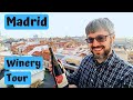 MADRID WINE TOUR - Day Trip to Unique and Tasty Wineries!! 🍷