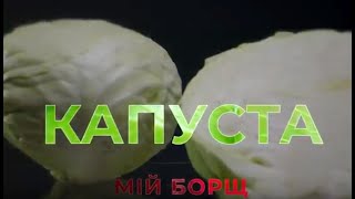 Капуста. Мій борщ