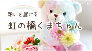 贈り物・ご自宅でのお供えに「想いを届ける　虹の橋くまちゃん」