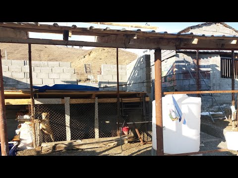 1 ტონიანი ბაკის ჯიგრულად დაცლა.