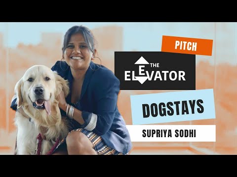 The Elevator #16 - DogStays - Solving one of the most stressing problems of any dog parent 🦮
