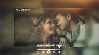 Neethane Neethane [slowed and reverb]|| #LOSTHEART #lofimusic #romantic #tamil music #shorts