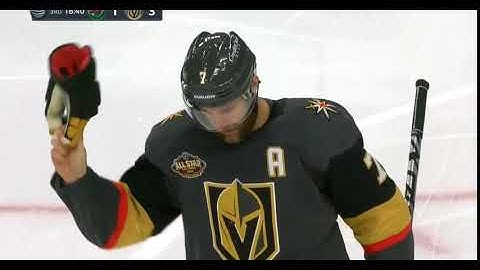 Mohawk GF Kaprizov Puck Protect