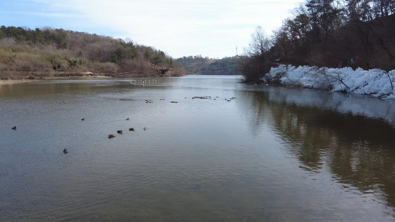 해파랑길 6코스 덕하에서 선암호수공원, 울산대공원을 지나 태화강전망대까지
