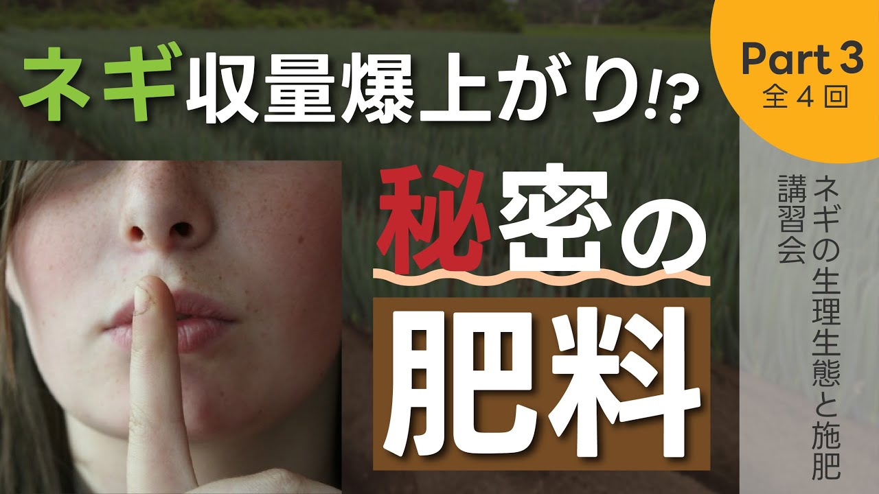 【ネギの収量爆上がり!?】誰も知らなかった秘密の肥料【生理生態と施肥講習会（3/4）】