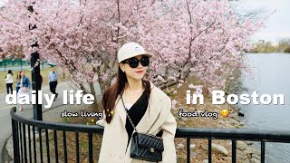 Boston Life Vlog  solar eclipse   Great Taste Dimsum Chinatown  Shake Shack  Tatte Cafe #spring