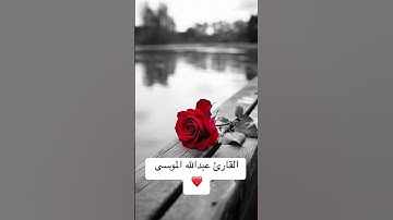 ايات من #سورة_النمل بصوت القارئ الشيخ #عبدالله_الموسى ❤️🤍