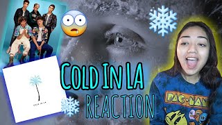 Why Don&#39;t We - &quot;Cold In LA&quot; (OFFICIAL MUSIC VIDEO) REACTION || JJ Castaneda