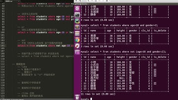 05 MySQL数据库v3 1丨02 数据库查询丨03 条件查询