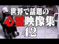 衝撃的な世界で話題の心霊・恐怖映像 42