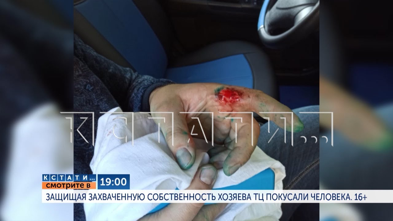 Хозяин тц солярис