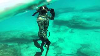 spearfishing south east queensland
