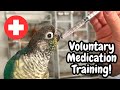 How to Train Your Bird to Take Medication! | BirdNerdSophie