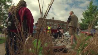 Stormwater Best Management Practices Curriculum Units