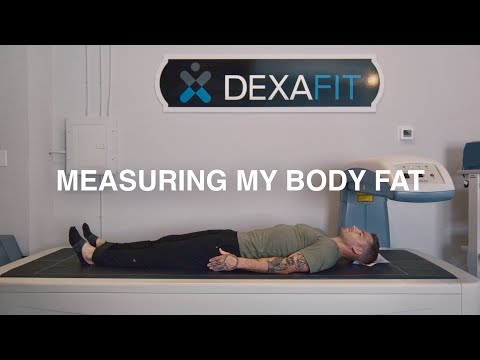Dexa Scan Results + Breakdown Of Body Composition