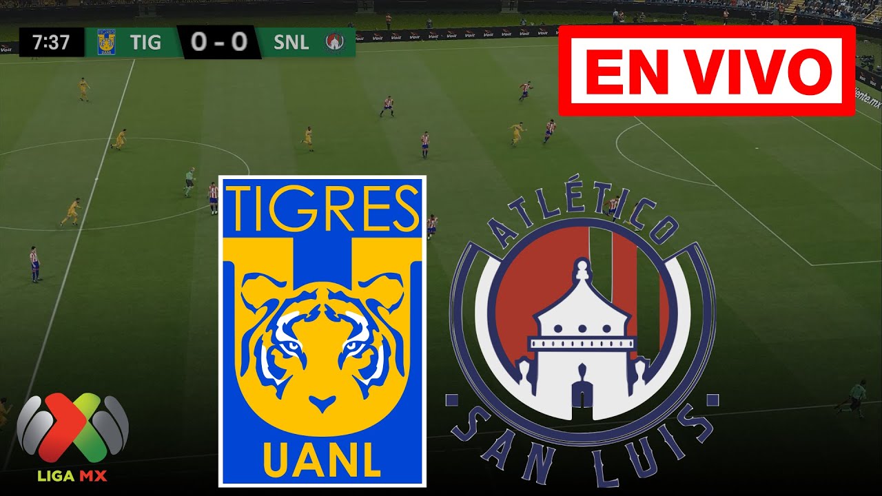 🔴 TIGRES VS SAN LUIS EN VIVO Y EN DIRECTO / LIGA MX APERTURA 2024 - YouTube