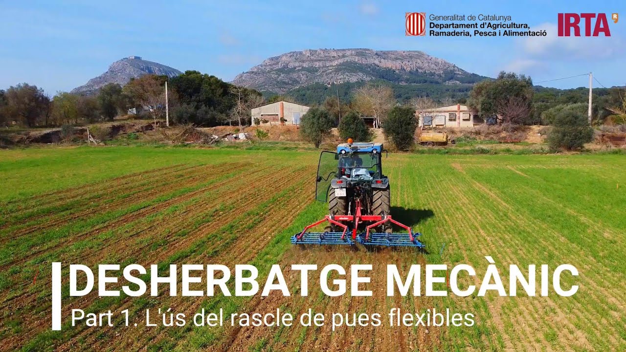 Desherbatge mecànic: Tutorial sobre l’ús del rascle de pues flexibles