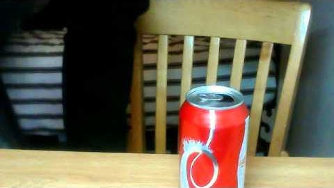 ＣＡＮ ＣＲＵＳＨ ＳＩＭＵＬＡＴＩＯＮ ❷.❶ ＣＩＲＣＡ ❷❶❺❸ ＡＤ ＮＥＷ