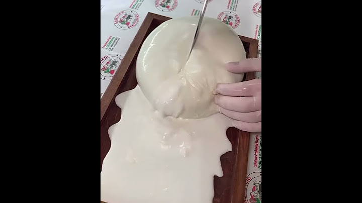 FIGLIATA Biggest MOZZARELLA in the World