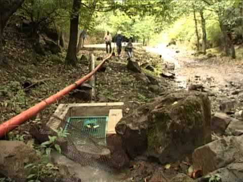 კვირის რეპორტაჟი (17/10/10) ნაწილი 3