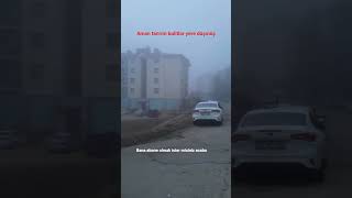 Sene Videoyu Izlemek? Aferm Kuşlarlütfen Benide Alın