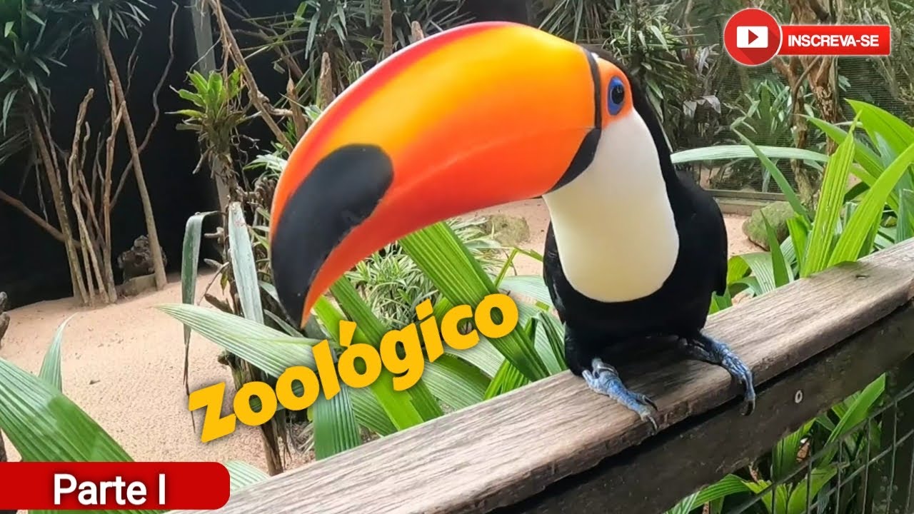 Zoológico de Itatiba | Vídeo reeditado 🐒 🐯  