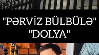 Pərviz Bülbülə Dolya Qısa Video