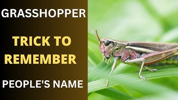 Mastering Memory: The Grasshopper Trick to Remember People