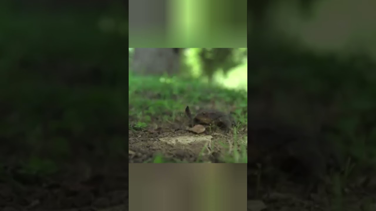 нарушая законы физики 