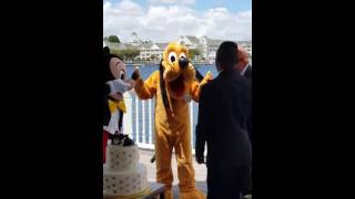 Information Mickey Mouse and Pluto at Scott & Kirby's Wedding Update