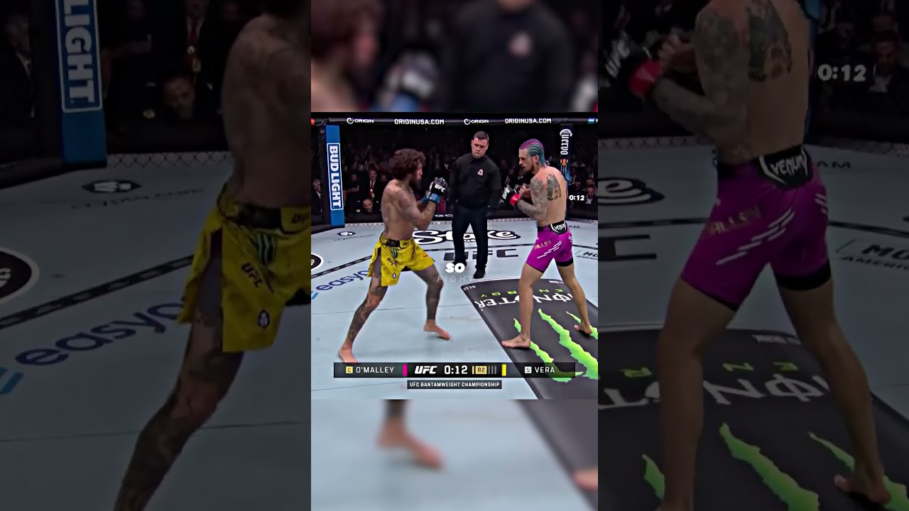 The Perfect MMA Counter