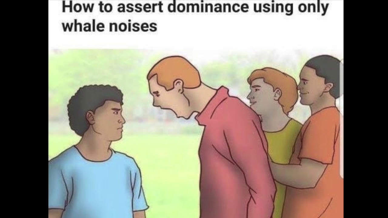 How To Assert Your Dominance Using Whale Mating Calls