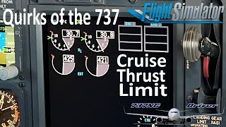 Quirks of the (real) 737: Thrust Limit | Real 737 Pilot