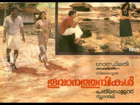 Thoovanathumbikal theme Cover