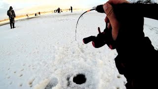 видео: КАТУШКА КЛИНОМ!!! СПИНИНГ В ДУГУ!!! ЭТОТ КОНЬ НЕ ЛЕЗЕТ В ЛУНКУ!! РЫБАЛКА НА СУДАКА! картинка: КАТУШКА КЛИНОМ!!! СПИНИНГ В ДУГУ!!! ЭТОТ КОНЬ НЕ ЛЕЗЕТ В ЛУНКУ!! РЫБАЛКА НА СУДАКА!