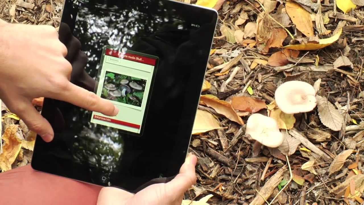 La experiencia micológica llega al móvil