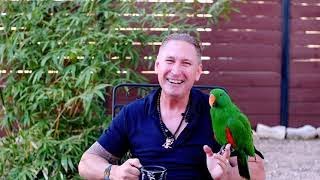 Join the Peace Frog Team