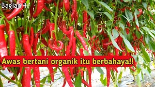 Petani jangan coba-coba organik #jadam 4