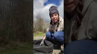 Garden Spotlight: Growing Potatoes 🥔