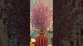 Kung Hei Fat Choi Jorie Domingo